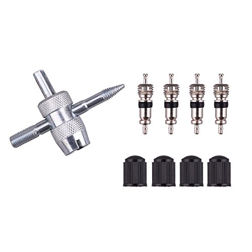 3 WYNNsky+Bayonet+Style+Inflator+Straight