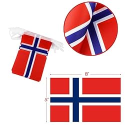 Norway String Flag Pennant Banner - 38 Flags, 42