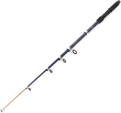 long fishing pole