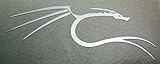 backtrack / KALI Linux Dragon Metal Sticker 27 x 66mm [716]