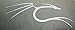 backtrack / KALI Linux Dragon Metal Sticker 27 x 66mm [716]