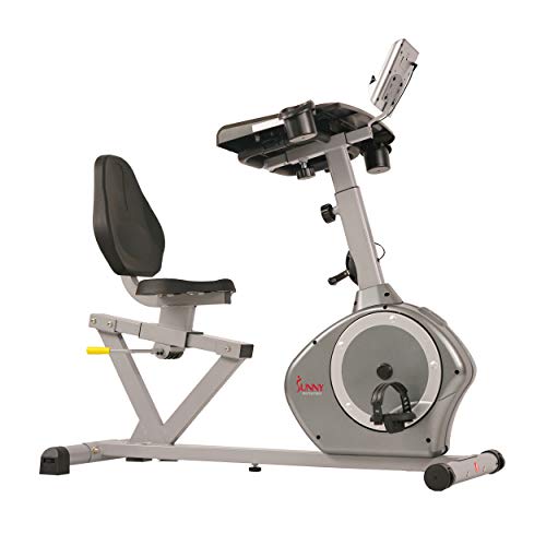 sunny recumbent bike