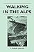 Walking in the Alps - J. Hubert Walker