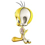 XXRAY 4D Vision Body Anatomy - Tweety Bird Funny Anatomy by Jason Freeny