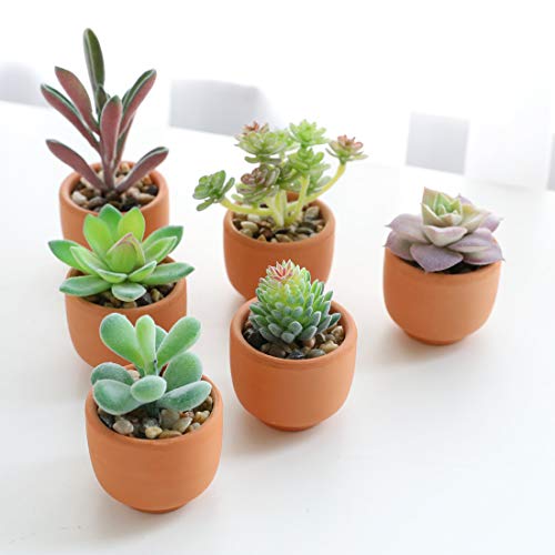 Veryhome Faux Succulent Plants Artificial Potted Small Fake Plants