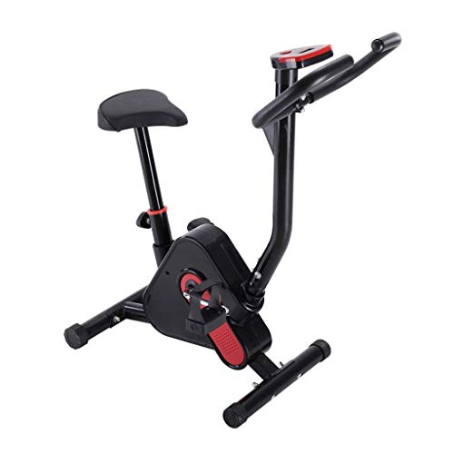 Nesee Indoor Spinning Bicycle Ultra-Quiet Exercise Bike Home Bicycle Fitness Equipment LCD Display Perfect Home Exercise Machine for Cardioï¼ˆShip from USï¼‰