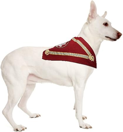 fsu dog bandana
