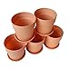 Axe Sickle 3.9 Inch Plastic Planter Small Plastic Plant Pot, Indoor Flower Pot, Plant Pot, Mini Flower Seedling Nursery Pot, Flower Pot with Pallet (6pcs Brown)