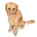 Alfie Pet - Gabby Adjustable Quick Fit Plastic Muzzle - Color: Beige, Size: L