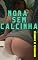 Livro A Nora sem Calcinha - Sogro e Nora