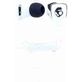 Skullcandy Merge Earbud Headphones for Phones - Retail Packaging - White/Chrome