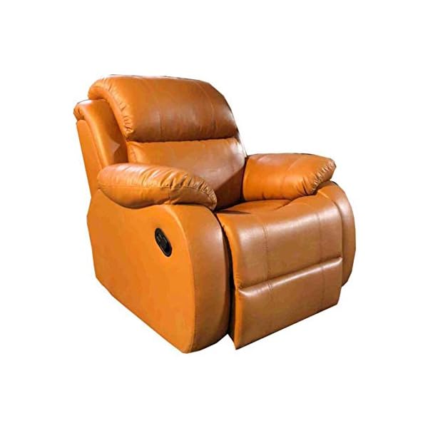 WellNap Motorized Recliner Chair Best Suited for Senior Citizens with