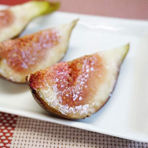 ふみこ農園 和歌山県産 冷凍いちじく 1kg 無添加 無花果 イチジク