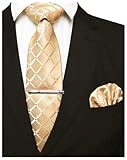 JEMYGINS Plaid Gold Tie and Pocket Square