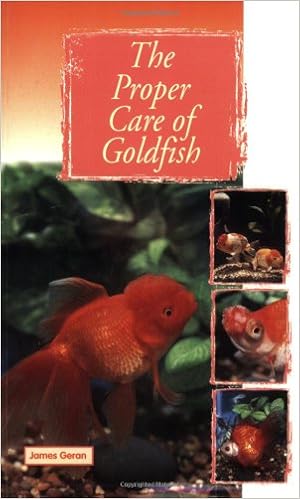 proper goldfish care