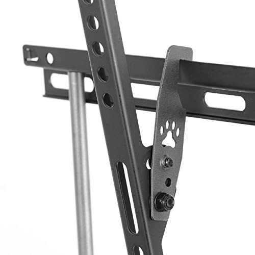 3 Cheetah+APTMM2B+Bracket+Twisted+Magnetic
