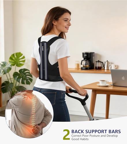 Aollop Posture Corrector Men and Women - Back Brace Back Support Belt with Breathable Adjustable Elastic Bands Back Straightener Improve Lumbar Support Belt Lower Back Pain Relief (M, Waist 35'- 47')