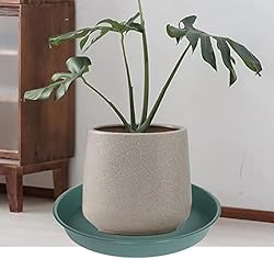 Bleuhome 6 Pack of 10 inch Plant Saucer Bird Bath