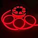 DELight 50 FT 110V Red Flexible LED Neon Rope Light Indoor Outdoor Holiday Valentines Party Decoration Lighting