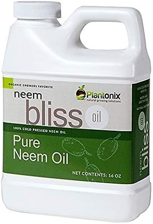 Huile de Neem Bliss biologique - (16 oz)