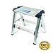 ArtMuseKit Folding Metal Step Stool - Perfect for Hard to Reach Areas in Kitchens and Closets, Great as a Truck Stool, Folds for Easy Storage (43672)