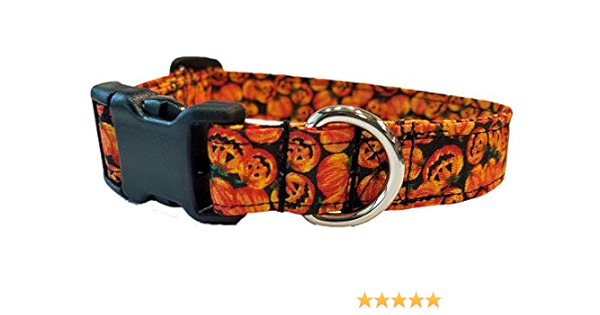 pumpkin dog collar