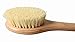 Hydrea London Cactus Bristle Brush - Exfoliating Body and Face Scrub - Natural Wood Handle - Skin Cleansing and Polishing