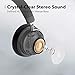 TaoTronics Hybrid Active Noise Cancelling Headphones [2019 New Version] Bluetooth Headphones with Deep Bass, Fast Charge 30 Hour Playtime for Travel Work TV PC Cellphone (Renewed)