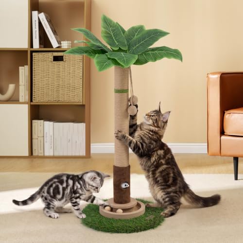 Woochpet Rascador para gatos de 35 pulgadas de alto, torre de árbol rascador para gatos de interior con agujero de ratón de juguete para gatos y bola de madera interactiva para gatitos, adultos y