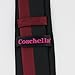 Coachella Ties Skull Pattern Necktie Bordered Skinny Tie Silver and Burgundy (Burgundy)