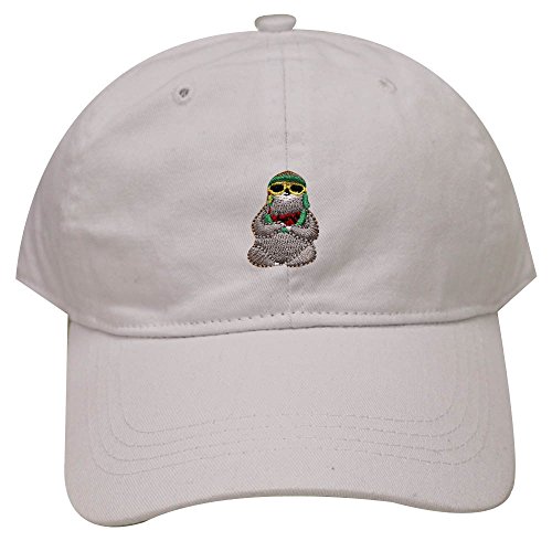 Top sloth hat | Igdy.Info