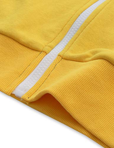 OHOO Mens Slim Fit Sleeveless Lightweight Zip-up Costume Hooded Vest with Single Slide Zipper/DCF052-BLUE/WHITE-M
