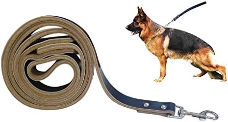 BIBO 4 ft Gentle Leader Best Walking Dog Leather Training Leash with Soft Handle (Black)