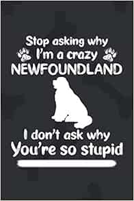 Newfoundland summer image