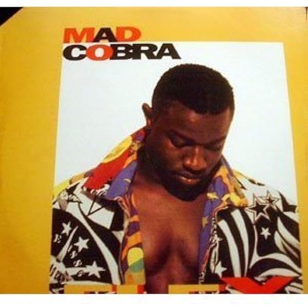 Intelligent Hoodlum [Vinyl] - Amazon.com Music