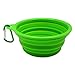 Alfie Pet - Rosh Pet Expandable/Collapsible Travel Bowl with Carabineer for Leash - Size: 1.5 Cups, Color: Green