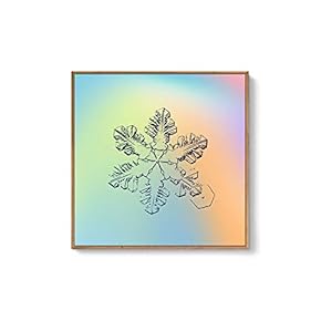 Framed Canvas Wall Art for Living Room, Bedroom Snowflake Theme Canvas Prints for Home Decoration Ready to Hang - 16x16 inches