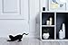 Petcube First Generation Camera for Pets with HD 720p Video, Wi-Fi and Two-Way Audio