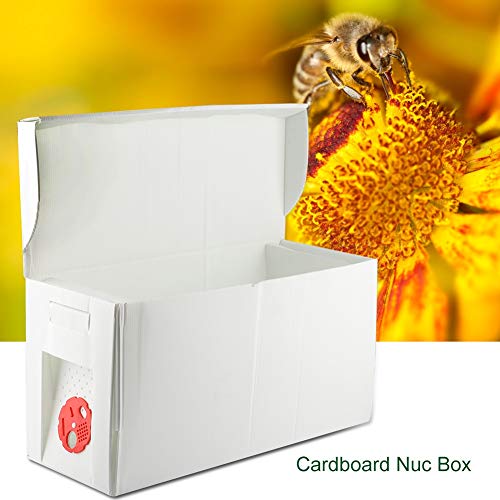 DEWIN Nuc Box - Cardboard Nuc Box, Bee Hive Bee Nuc Beekeeping, Folding Bee Keeping Equipment Beekeeper Bee Cultivating Tool