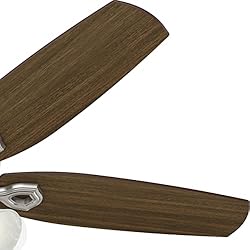 Hunter Fan Company Hunter Indoor Ceiling Fan, with