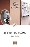 LE DROIT DU TRAVAIL (6ED) QSJ 1268 (QUE SAIS-JE ?) by 