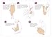 ClevaMama Apron Hooded Baby Towel - Bath Towel With Hood, Soft Cotton Bath Wrap, Beige
