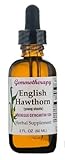 Gemmotherapy English Hawthorn (Crataegus Oxyacantha) 1 DH Boiron
