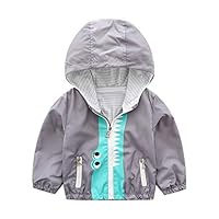 oldeagle_Baby Coat, Fashion Infant Toddler Baby Girls Boys Hooded Jackets Coat Cartoon Tops Outfits Clothes (5-6 Years, Gray)
