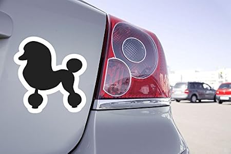 Zone Stickers Sticker Voiture Chien Caniche 20cm X 19cm