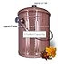 Kitchen Compost Pail Bin for Countertop - 1 Gallon Food Scrap Container, Leak proof Stainless Steel with Copper Plating - Includes 1 Year's Worth of Dual Charcoal Filters & Compost Pail Bags