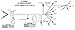 Holley 558-102 LS1 Main Harness