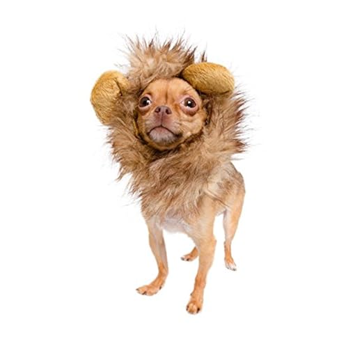 Pet Supplies, Dogs, Apparel & Accessories, Costumes