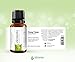 Ylang Ylang Cananga Odorata Essential Oil |100% Pure Therapeutic Grade Undiluted Organic Natural for Aromatherapy Diffuser, Skin and Relaxation