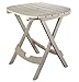 Adams Manufacturing 8550-23-3700 Quik-Fold® Cafe Table, Desert Clay